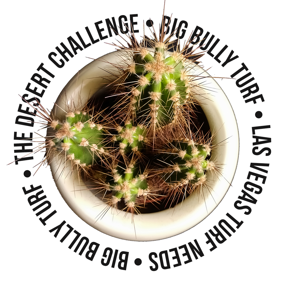 big-bully-tuf-round-potted-cactus-overhead-view