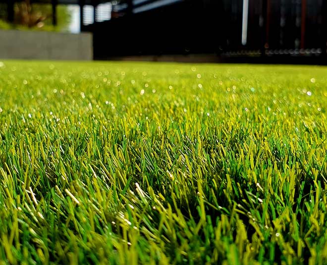 big-bully-turf-artificial-grass-close-up