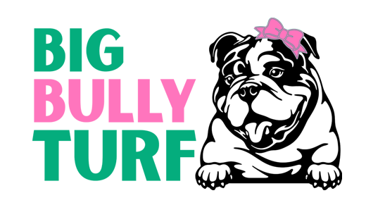 big-bully-turf-logo