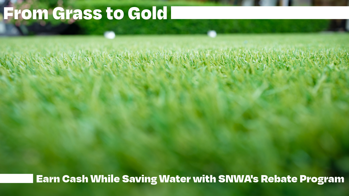 From Grass to Gold: How to Earn Cash While Saving Water with SNWA’s Rebate Program