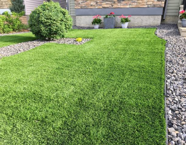 The True Cost of Artificial Turf in Phoenix: What to Know Before You Buy