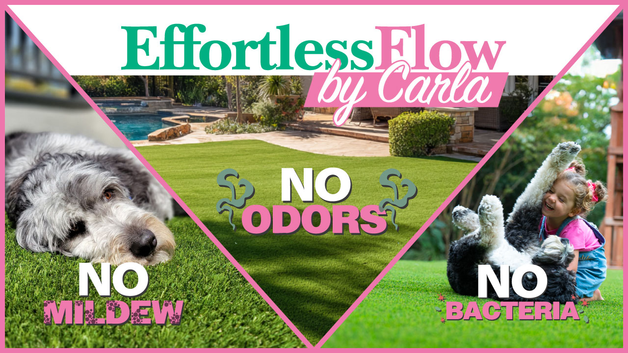 Best Artificial Grass turf option is EffortlessFlow By Carla