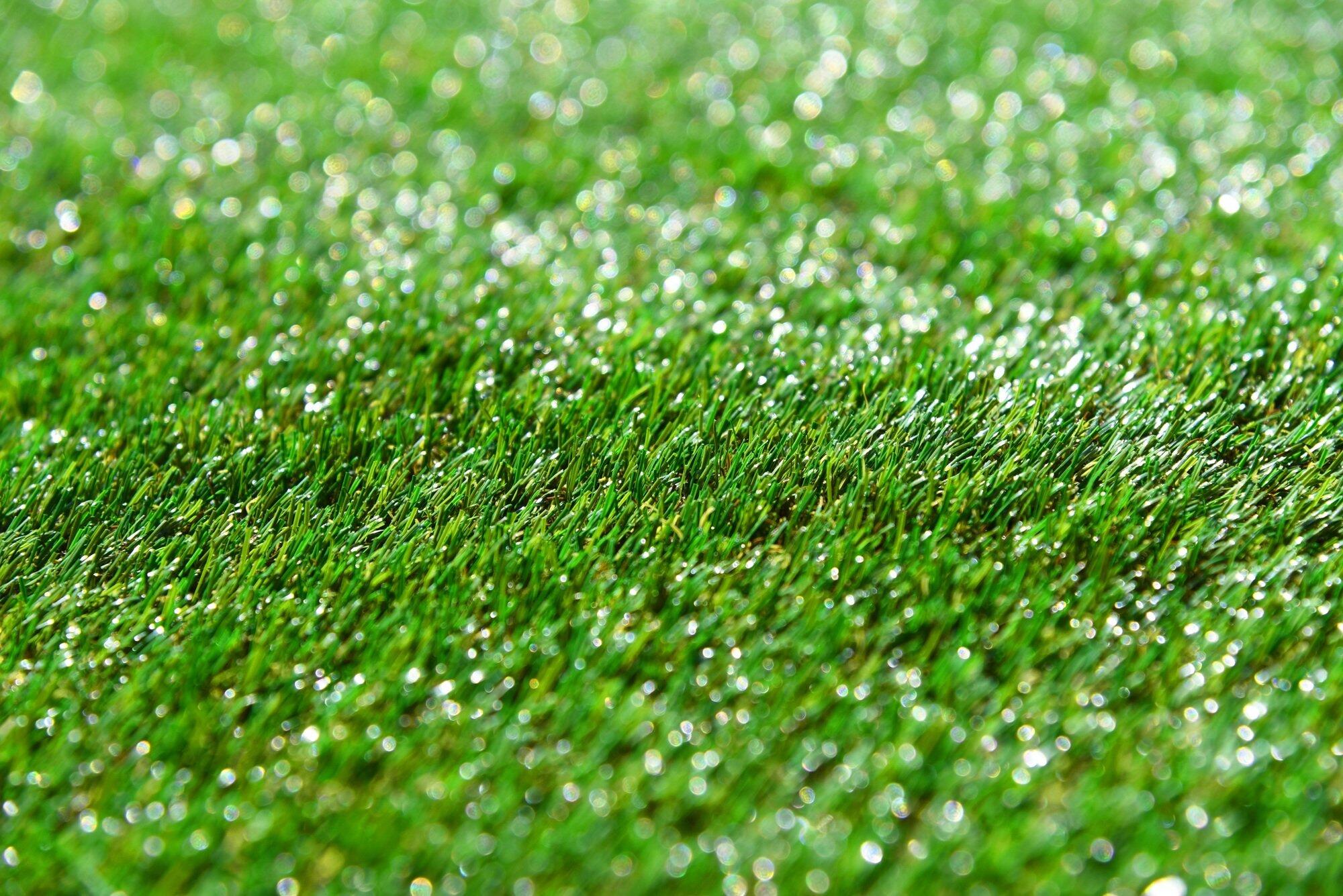 From Dust to Deluxe: How to Transform Your Dallas Yard with Artificial Turf Installation