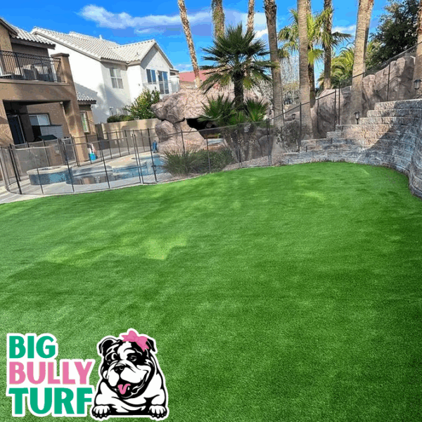 BBT Digital Website Images Buggeed (1)