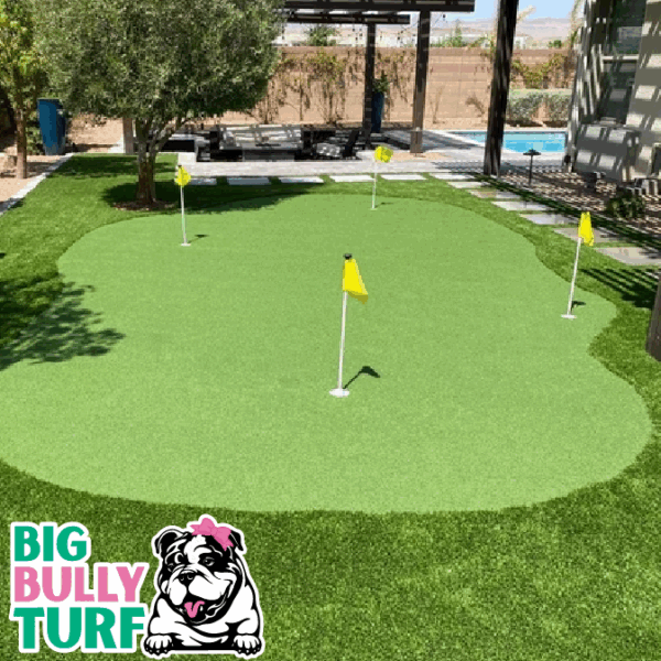 BBT Digital Website Images Buggeed (10)