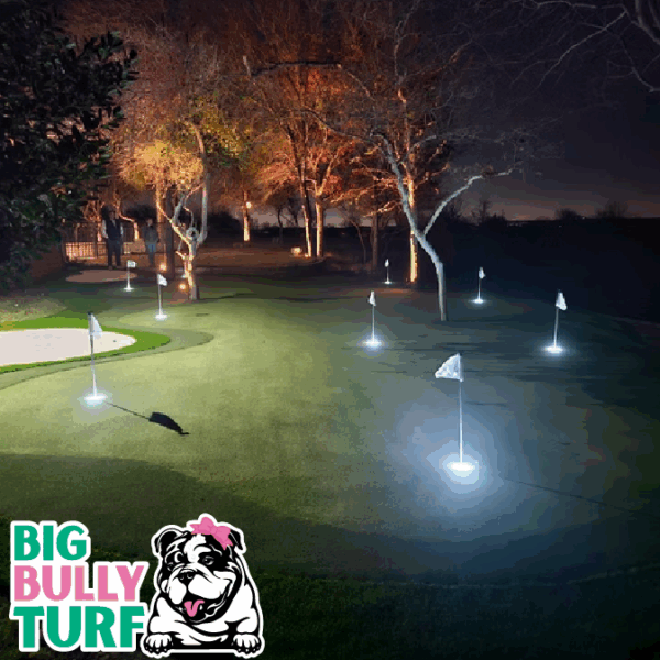 BBT Digital Website Images Buggeed (104)