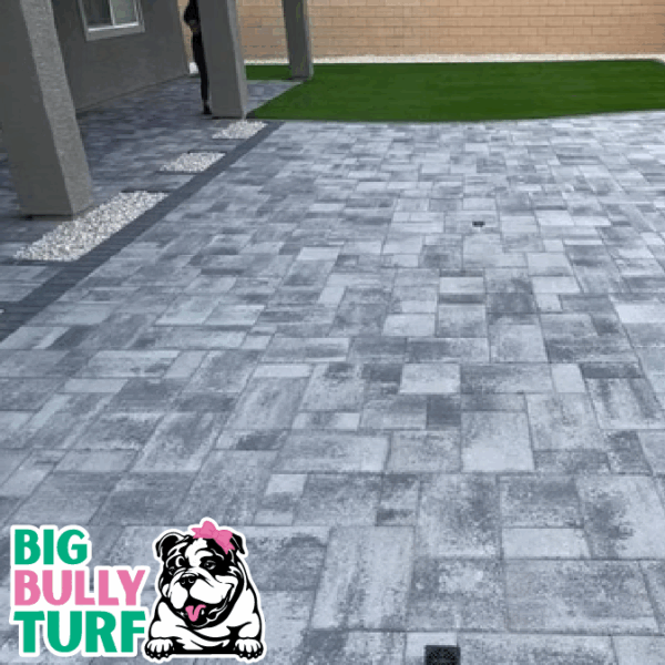 BBT Digital Website Images Buggeed (106)