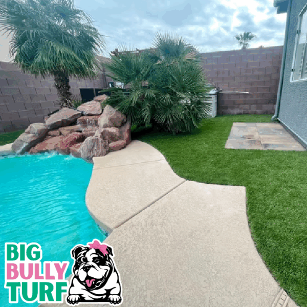 BBT Digital Website Images Buggeed (107)