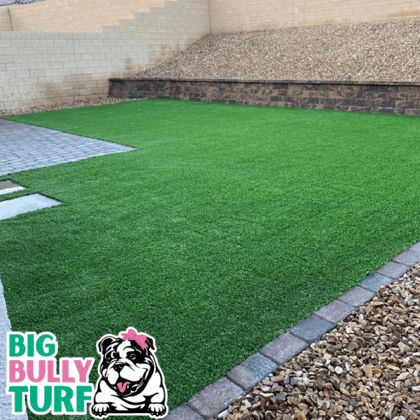 BBT Digital Website Images Buggeed (108)