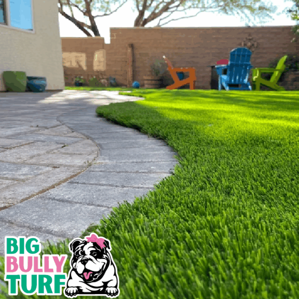 BBT Digital Website Images Buggeed (109)