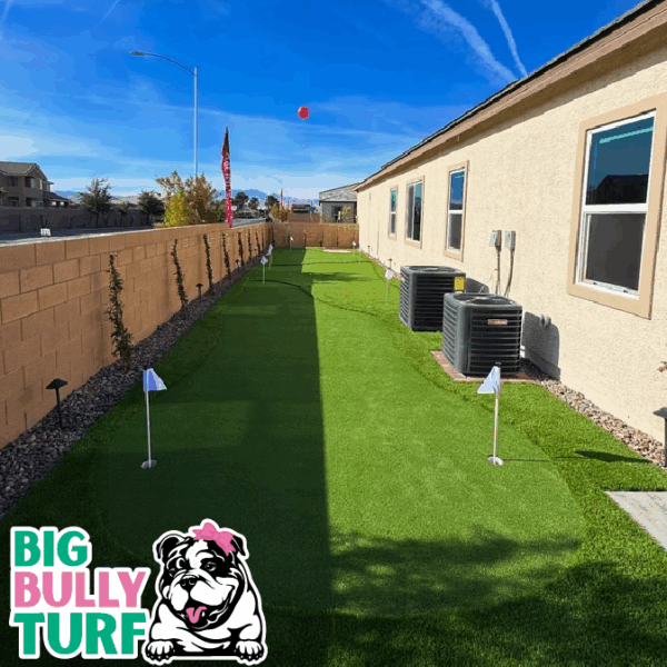 BBT Digital Website Images Buggeed (110)