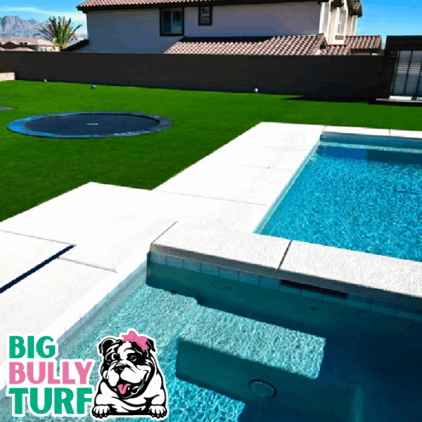 BBT Digital Website Images Buggeed (111)