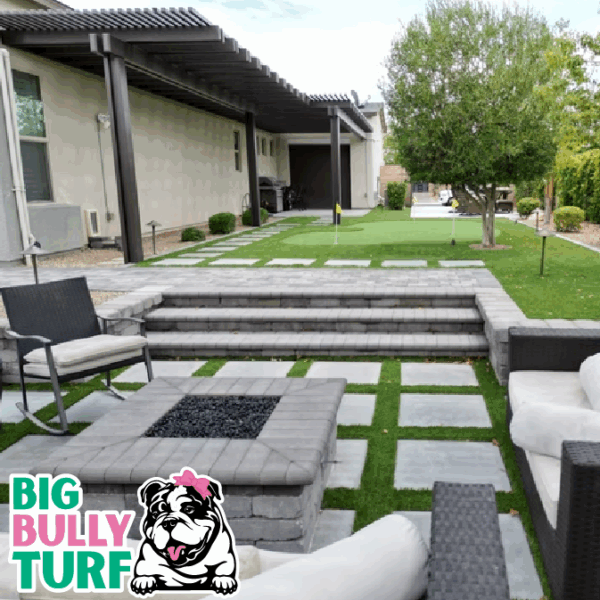 BBT Digital Website Images Buggeed (112)