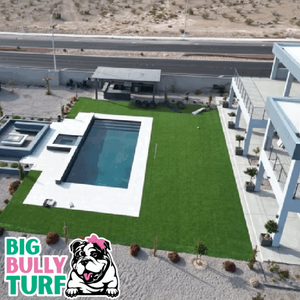 BBT Digital Website Images Buggeed (113)