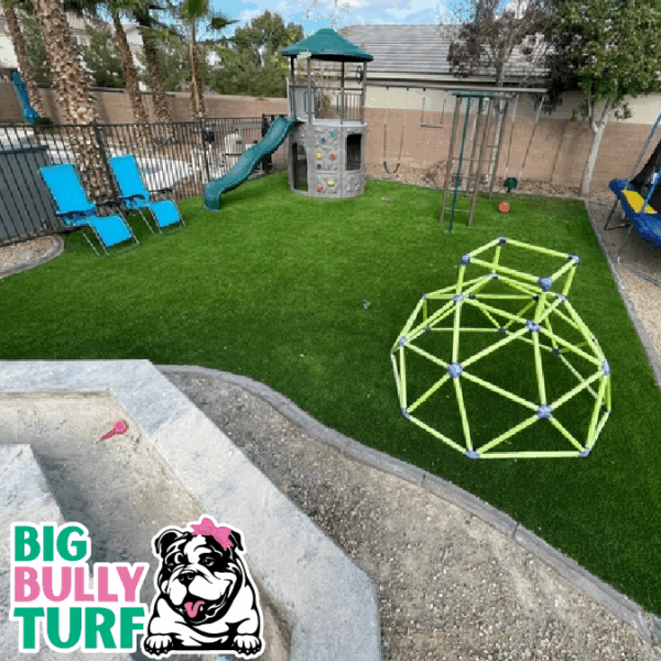 BBT Digital Website Images Buggeed (114)