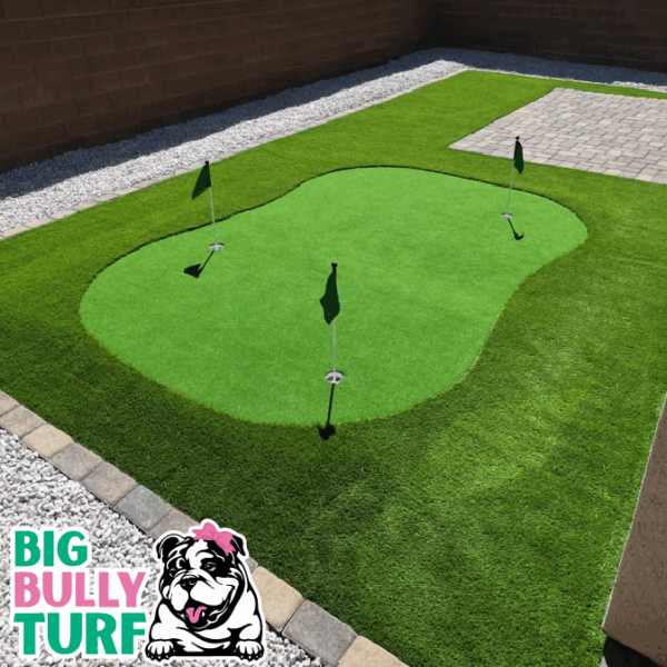 BBT Digital Website Images Buggeed (115)