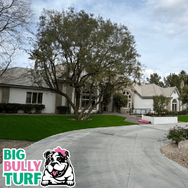 BBT Digital Website Images Buggeed (12)