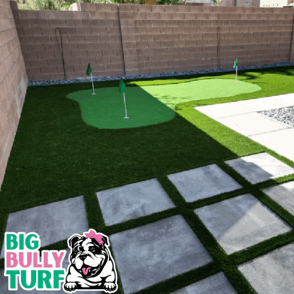 BBT Digital Website Images Buggeed (13)