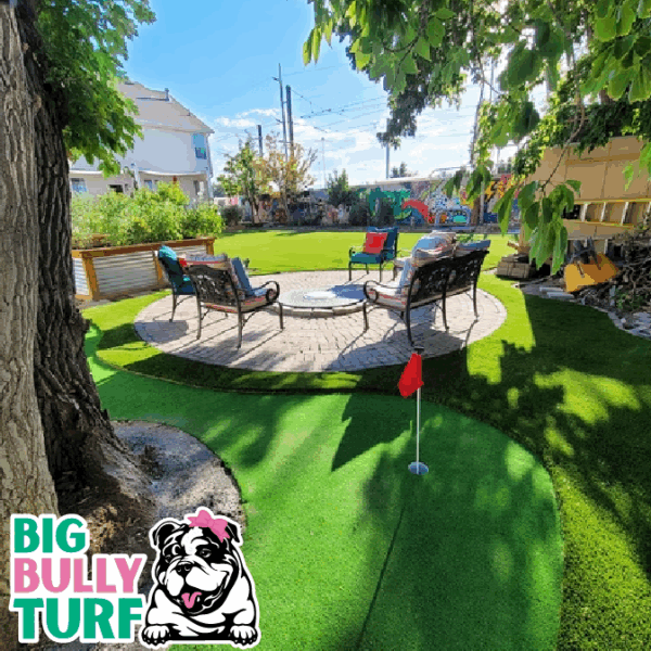 BBT Digital Website Images Buggeed (14)