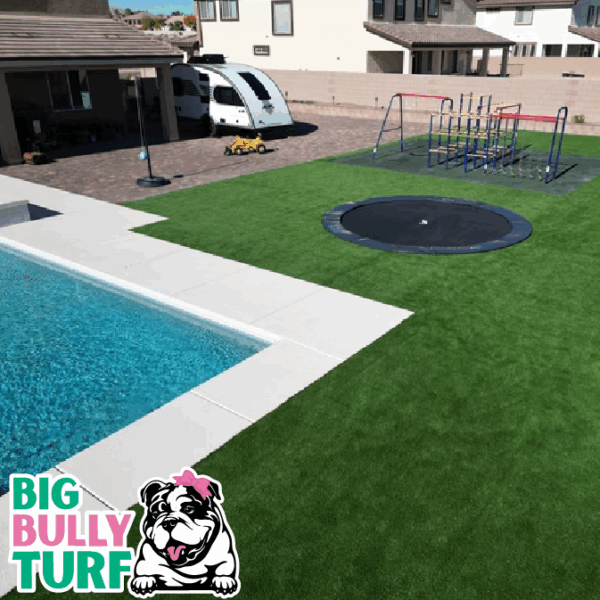 BBT Digital Website Images Buggeed (16)