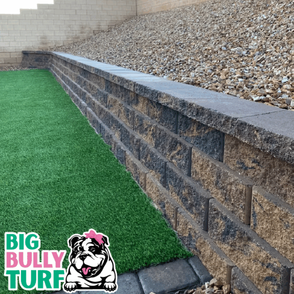 BBT Digital Website Images Buggeed (18)