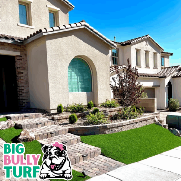 BBT Digital Website Images Buggeed (19)