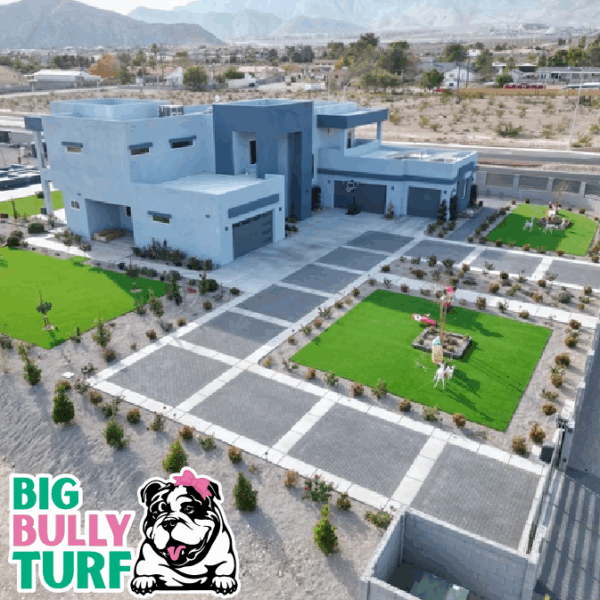 BBT Digital Website Images Buggeed (2)