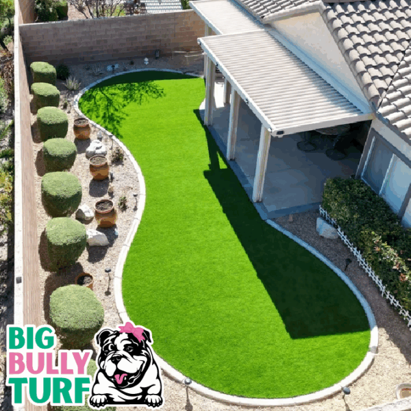 BBT Digital Website Images Buggeed (20)