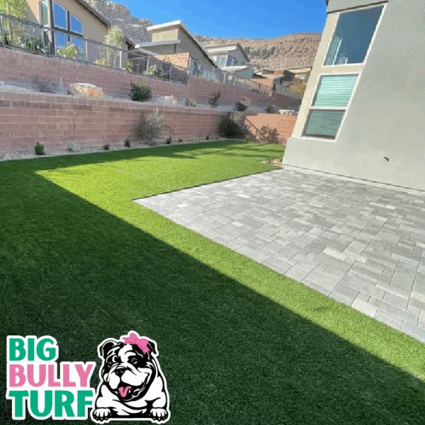 BBT Digital Website Images Buggeed (22)