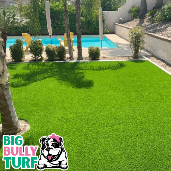 BBT Digital Website Images Buggeed (23)