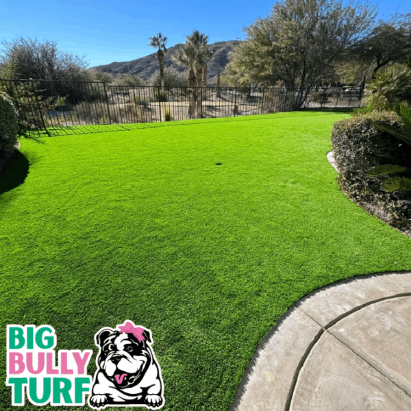 BBT Digital Website Images Buggeed (24)