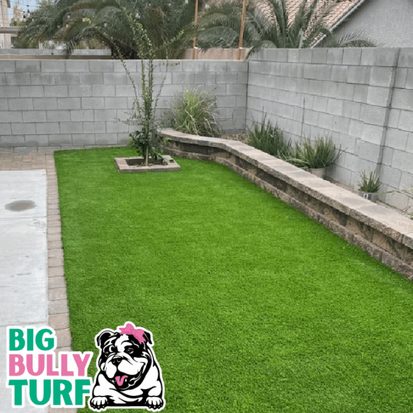 BBT Digital Website Images Buggeed (25) (1)