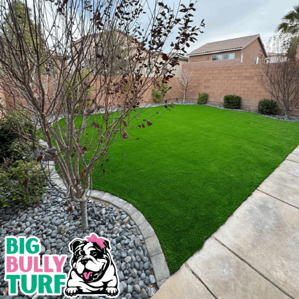 BBT Digital Website Images Buggeed (26)