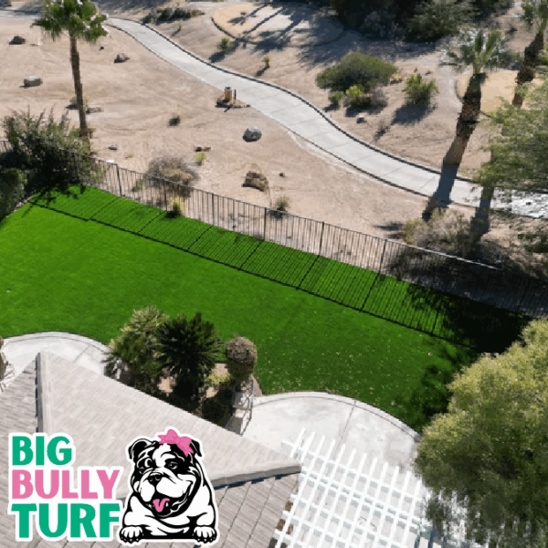 BBT Digital Website Images Buggeed (27)