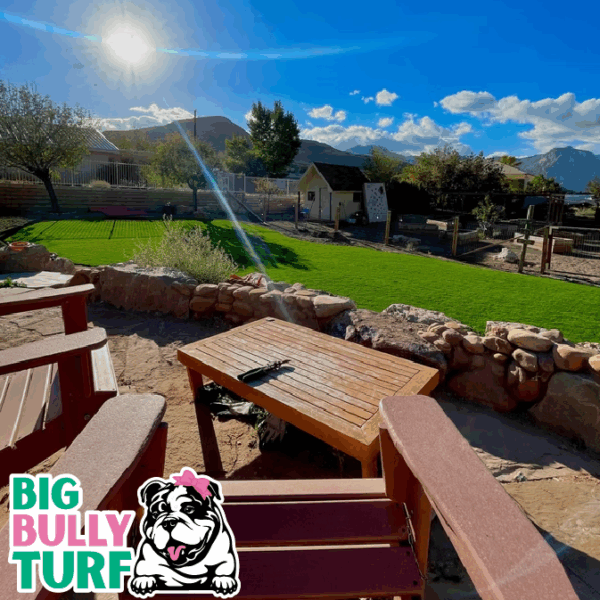 BBT Digital Website Images Buggeed (28)