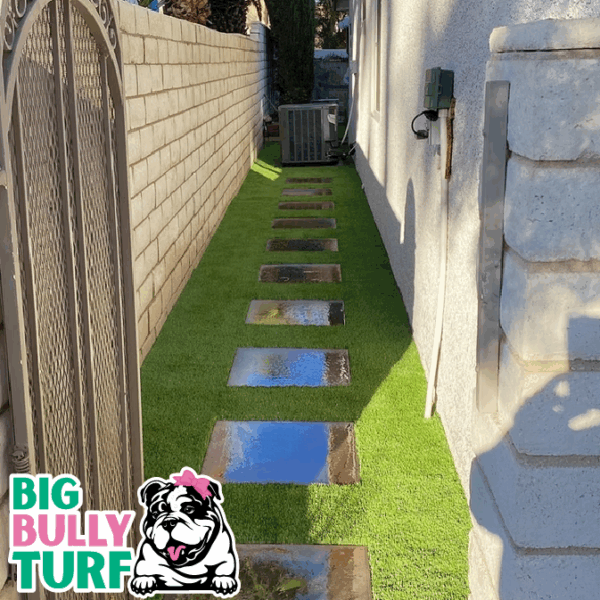 BBT Digital Website Images Buggeed (29)