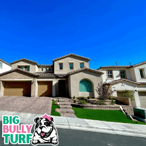 BBT Digital Website Images Buggeed (3)