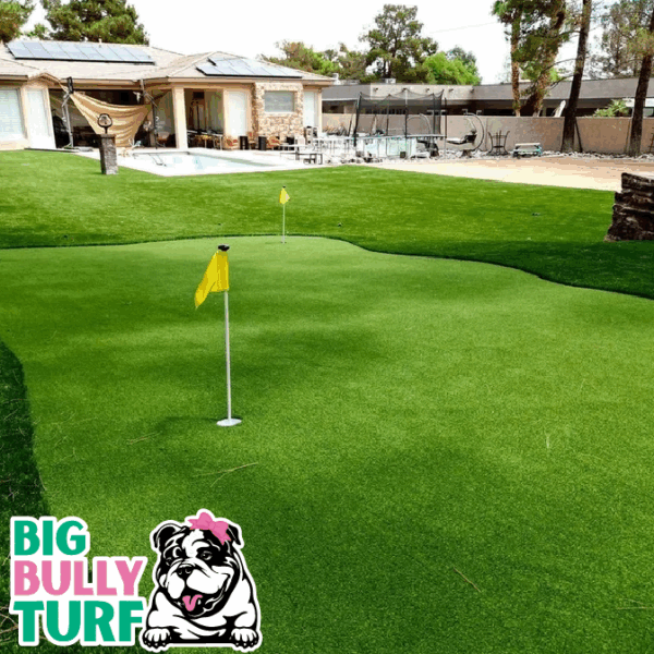 BBT Digital Website Images Buggeed (30)