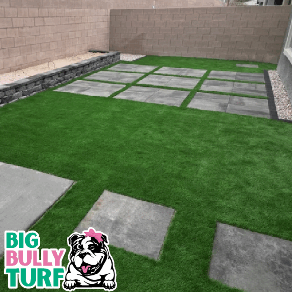 BBT Digital Website Images Buggeed (31)