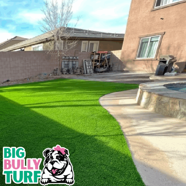 BBT Digital Website Images Buggeed (32)