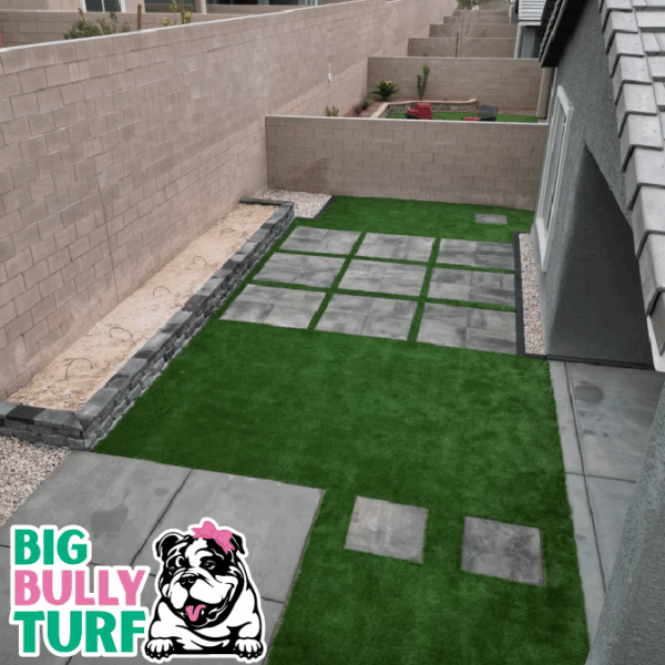 BBT Digital Website Images Buggeed (33)