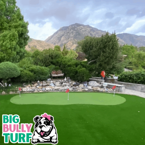 BBT Digital Website Images Buggeed (34)