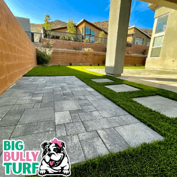 BBT Digital Website Images Buggeed (35)