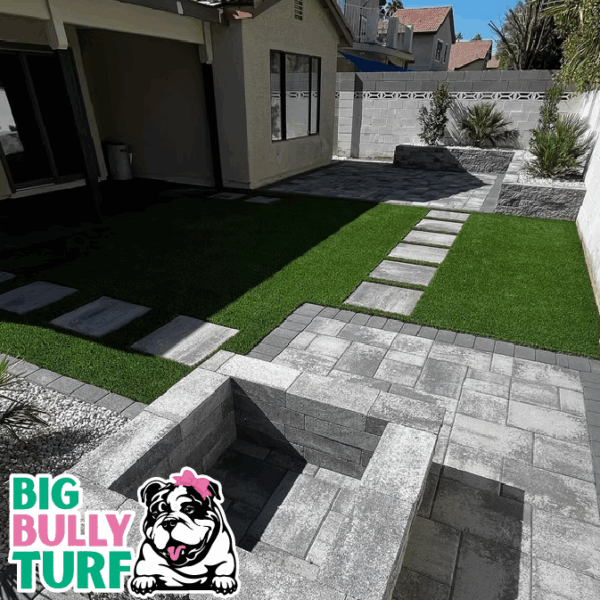 BBT Digital Website Images Buggeed (36)