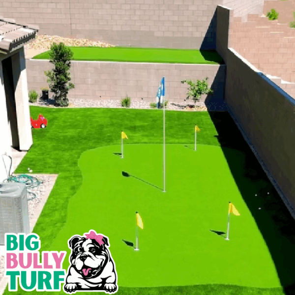 BBT Digital Website Images Buggeed (38)