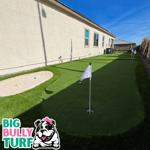 BBT Digital Website Images Buggeed (39)