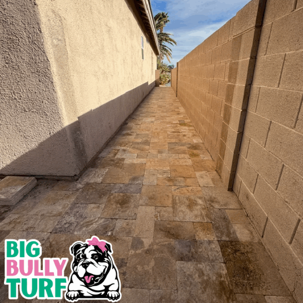 BBT Digital Website Images Buggeed (4)