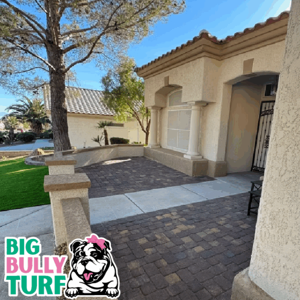 BBT Digital Website Images Buggeed (40)