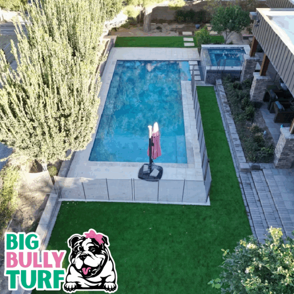 BBT Digital Website Images Buggeed (42)