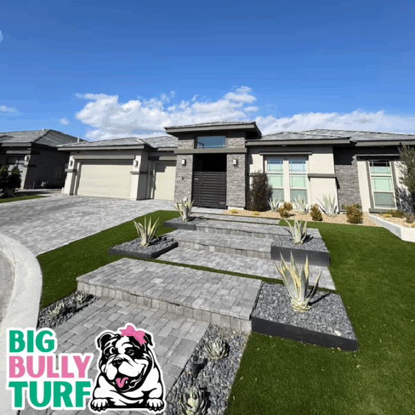 BBT Digital Website Images Buggeed (43)